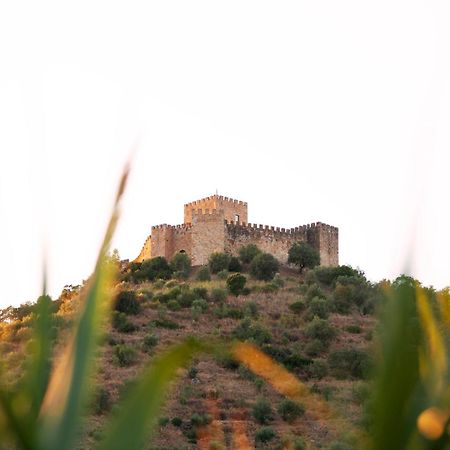 A Saboeira - Turismo Rural Belver  المظهر الخارجي الصورة